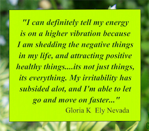 "I am shedding the negative things in my life and attracting the positive ..."