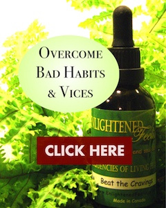 Overcome bad habits & vices