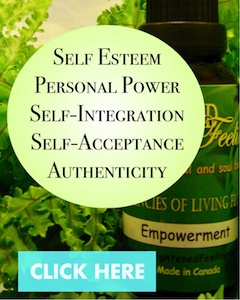 Click Here for Personal empowerment essences