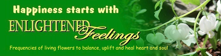 Enlightened Feelings Living Flower Essences