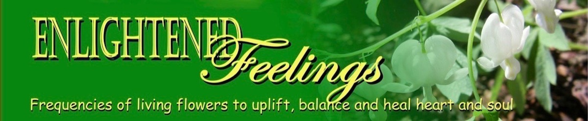 Enlightened Feelings frequencies of living flowers to uplift and heal heart & soul