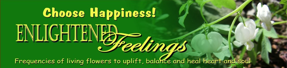 Enlightened Feelings frequencies of living flowers to uplift and heal heart & soul