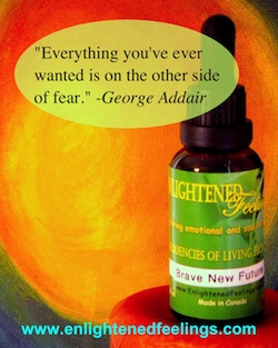 Everything you've ever wanted is on the other side of fear