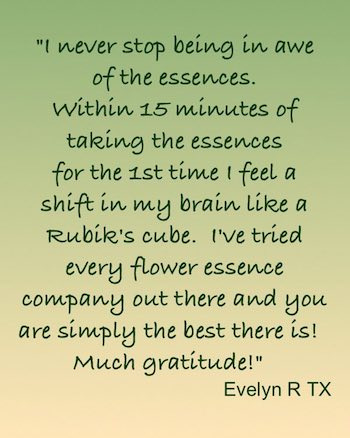 "I never stop being in awe of the essences"