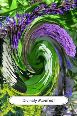 Divinely Manifest