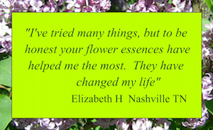 "I've tried many things but to be honest your flower essences have helped me the most"