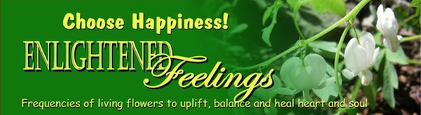 Enlightened Feelings: frequencies of living flowers to uplift, balance, and heal heart and soul