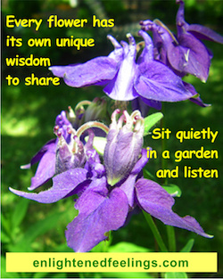 Everyflower has its own unique wisdom to share.  Sit quietly in a garden and listen