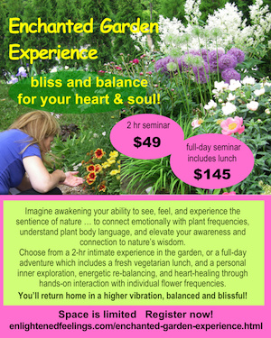 Enchanted Garden Experience