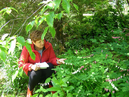 communicating with flowers