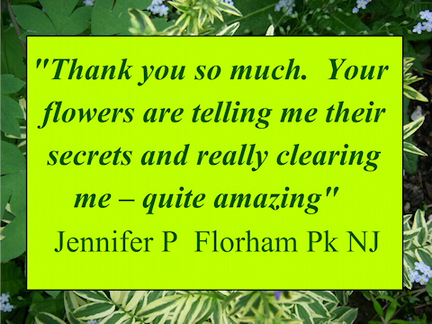 "Your flowers are telling me their secrets and really clearing me--Quite amazing"