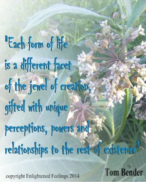 Each form of life is a different facet of the jewel of creation, gifted with unique perceptions, powers, and relationships to the rest of existence