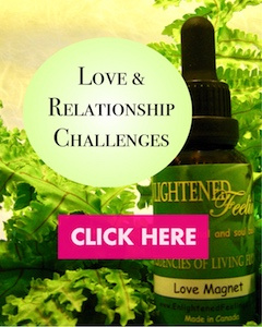 Our Selection of Love & Relationships Essence Fusions