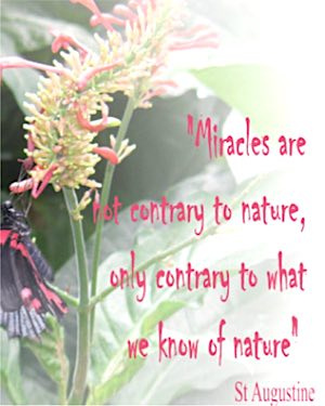 'Miracles are not contrary to nature, only contrary to what we know of nature'