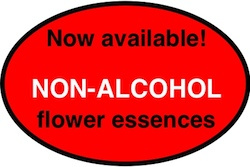 Now Available--NON-ALCOHOL Essences!