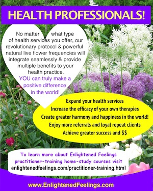 Enlightened Feelings Practitioner Training Programs for Coaches and Health Professionals