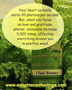 Your heart normally emits 20 photos per second.  But, when you focus on love and gratitude, photon emissions increase 5,000 times, affecting everything around you in positive ways