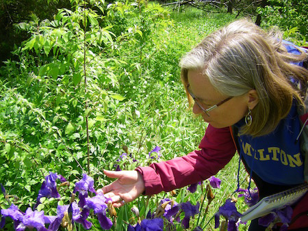 Communicating with flowers