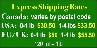 Shipping Prices