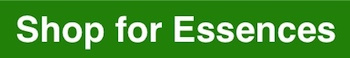 View our Essence Collection