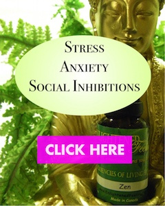 Essence Fusions to Alleviate Stress, Anxiety and Social Inhibitions
