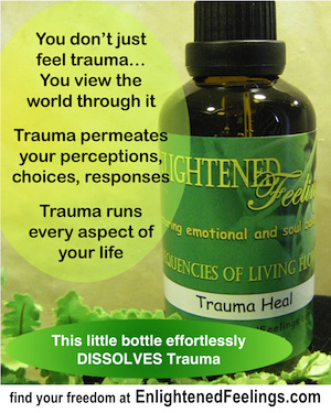 You don't just feel trauma.  You view the world through it.  Trauma permeates your perceptions, choices, responses.  Trauma runs every aspect of your life