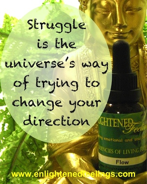 Struggle is the universe's way of trying to change your direction