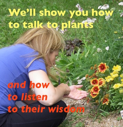 We'll show you how to communicate with plants