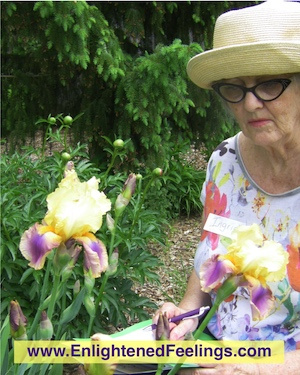 Ingrid thoughtfully studies a Bearded Iris at the Enchanted Garden Encounter