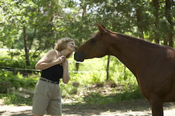 Horse Whisperer