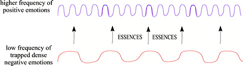 diagram of how Enlightened Feelings live flower essences work