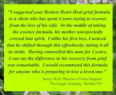 "I would recommend BROKEN HEART HEAL to anyone who is preparing to lose a loved one"