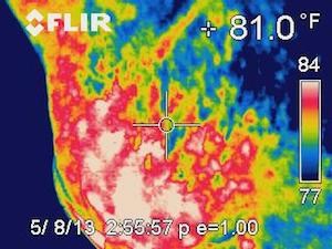 Thermography image after applying AH